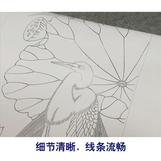 【有步骤、大彩图】郑玲玲工笔画白描底稿四条屏荷花图《荷塘鹭影》ZL99 商品图4