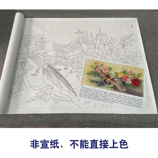 【有步骤、大彩图】郑玲玲横幅工笔画白描底稿《祥辉锦羽图》锦鸡初学者临摹花鸟线稿ZL96 商品图2