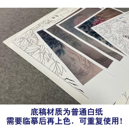 【有步骤、大彩图】郑玲玲工笔画白描底稿小品《林间依恋》竹林锦鸡初学者临摹花鸟线稿ZL61 商品图3