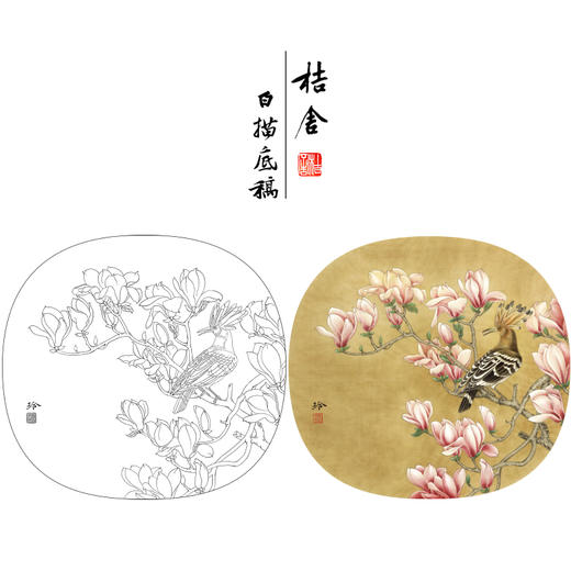 【有步骤、大彩图】郑玲玲工笔画白描底稿小品《玉堂富贵图》玉兰花初学者临摹花鸟线稿ZL65 商品图0