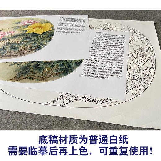 【有步骤、大彩图】郑玲玲工笔画白描稿小品《春光和煦》牡丹蝴蝶初学者临摹花鸟线稿ZL77 商品图3