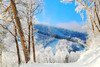 SNOW51 X 百威REAL 2021冬季雪山电音节（12月18日-19日两晚连住） 商品缩略图4