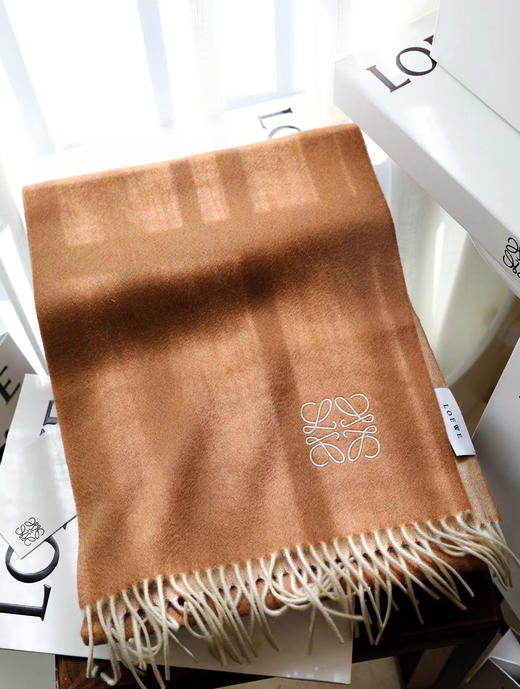 Loewe罗意威最新款双面双色-棕色 商品图3