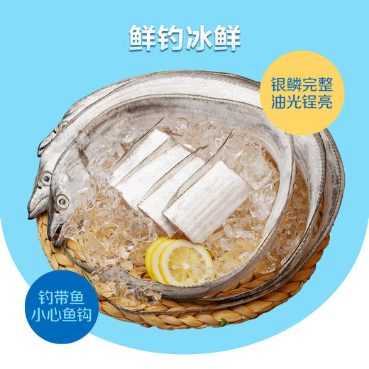 【直发】（顺丰包邮）中粮凌鲜冰鲜东海海钓带鱼4条（300-400g/条） 商品图1