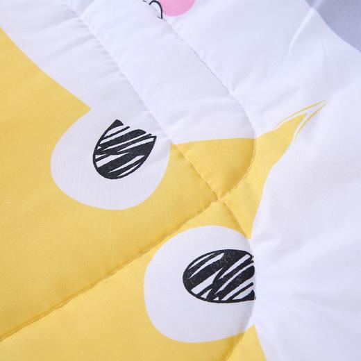 芳恩时尚印花抱枕被FN-R723  童趣印花 商品图4