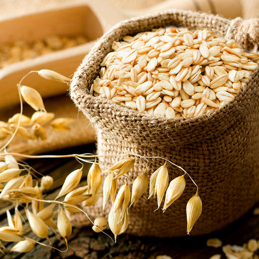 人民有机生燕麦片260g 商品图3