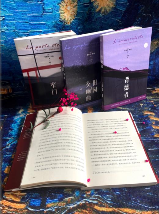 《每一个人的窄门：纪德生命三部曲（套封3册）》诺贝尔文学奖获得者、萨特和加缪的精神导师纪德作品！ 商品图2