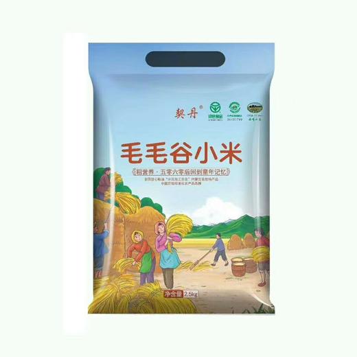 黄小米粥小黄米新小米5斤内蒙古赤峰2021年农家食用新米五谷杂粮 商品图0