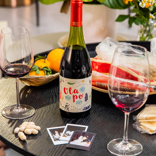 欧乐坡梅洛红葡萄酒 商品图5