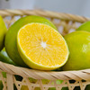 【岭南佳果】广东德庆皇帝柑 地理标志产品 脆嫩少渣 清甜爽口 皮薄多汁 岭南十大佳果之一 商品缩略图4