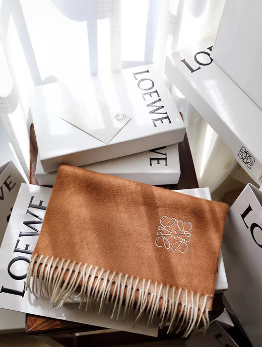 Loewe罗意威最新款双面双色-棕色 商品图2