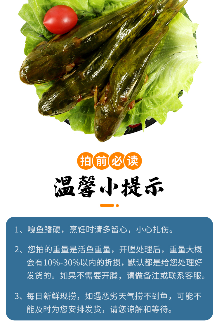 野生淡水刺头鱼!新鲜嘎鱼 肉质细嫩 2斤装