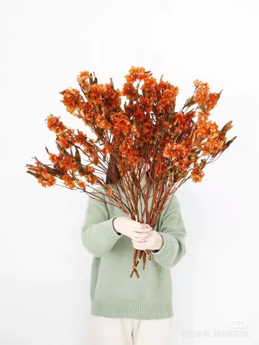 云花朵朵(微信公众号认证)云南鲜花批发