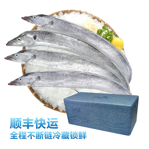 【直发】（顺丰包邮）中粮凌鲜冰鲜东海海钓带鱼4条（300-400g/条） 商品图4