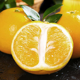 福建黄金平和葡萄柚礼盒装 （约5斤/箱）【BH】