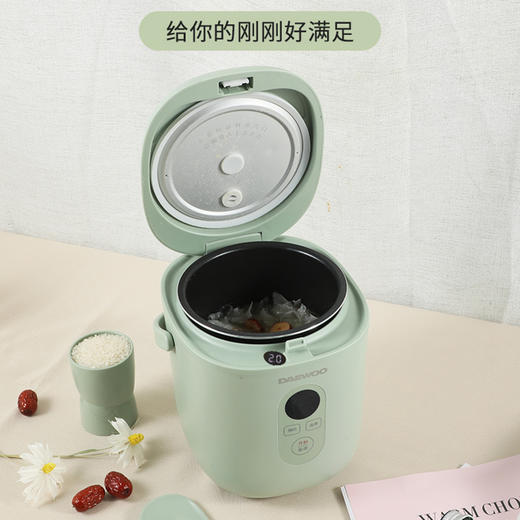 大宇FB12迷你电饭煲1.2L家用宝宝婴儿智能预约电饭锅小2一3人 商品图1
