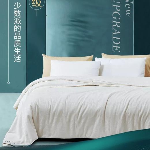 【爆】【6F】富安娜沁享蚕丝被，牌牌价5980，活动价1699 商品图0