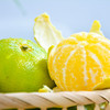 【岭南佳果】广东德庆皇帝柑 地理标志产品 脆嫩少渣 清甜爽口 皮薄多汁 岭南十大佳果之一 商品缩略图0