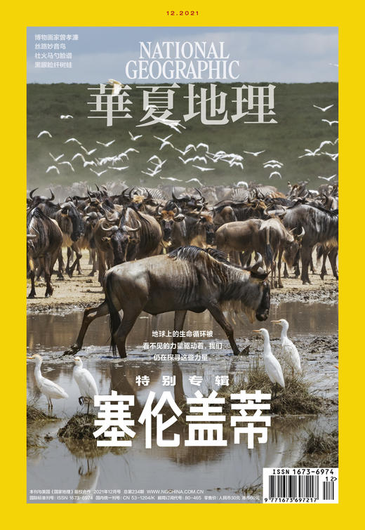 《华夏地理》杂志2021年12月刊-塞伦盖蒂  商品图1