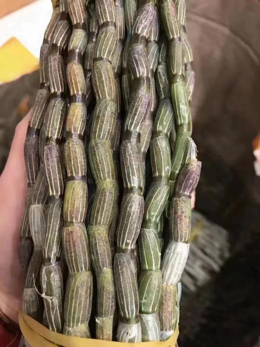 铁皮石斛粉  礼盒装600g 商品图5