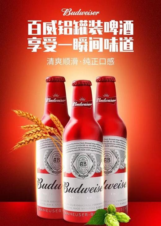 Budweiser/百威啤酒纯生  经典 330ml*24听小罐装瓶装啤酒整箱 配送到家 商品图1