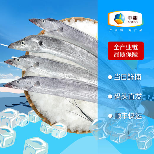 【直发】（顺丰包邮）中粮凌鲜冰鲜东海海钓带鱼4条（300-400g/条） 商品图0