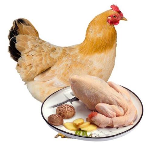 【周五发货】大川散养两年左右土母鸡（净重3.0～3.2斤左右） 商品图0