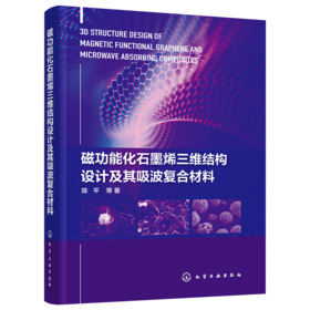 磁功能化石墨烯三维结构设计及其吸波复合材料