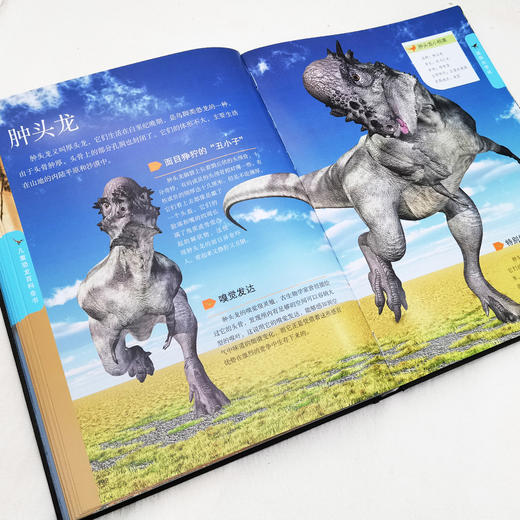 儿童恐龙百科全书 商品图4