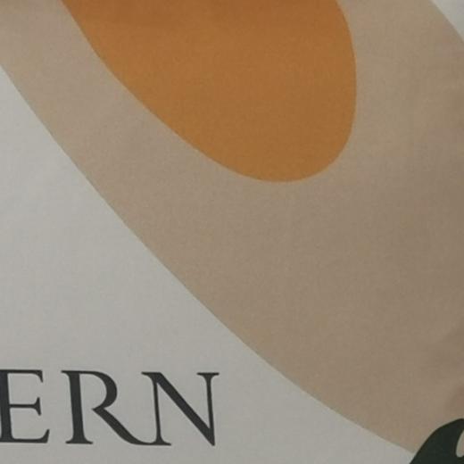 芳恩数码彩印亚麻抱枕TH-R1033 45x45cm   莫兰迪数码印花抱枕 商品图5