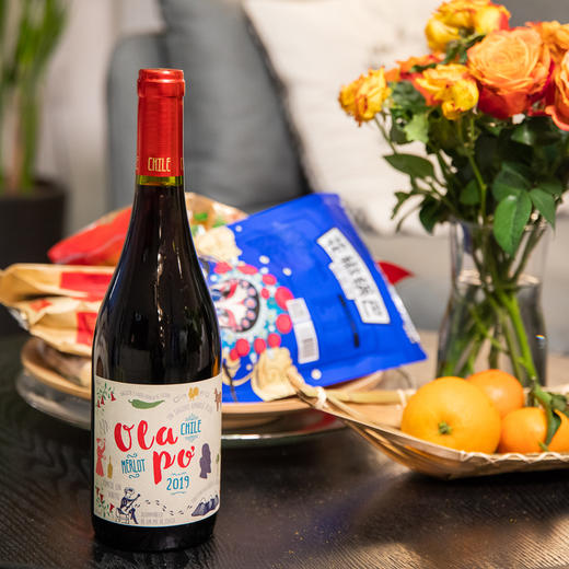 欧乐坡梅洛红葡萄酒 商品图3