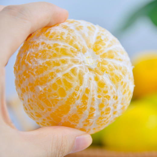 【岭南佳果】广东德庆皇帝柑 地理标志产品 脆嫩少渣 清甜爽口 皮薄多汁 岭南十大佳果之一 商品图3
