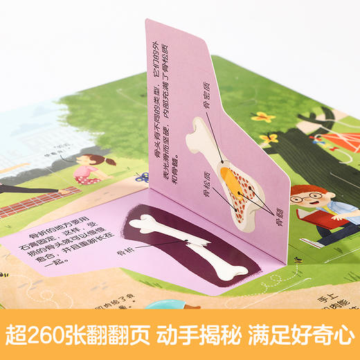 揭秘翻翻书系列低幼版第五辑（共四册） 商品图2