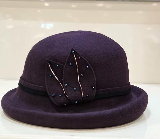 3F ALA专柜伊点羊毛帽子 商品图3