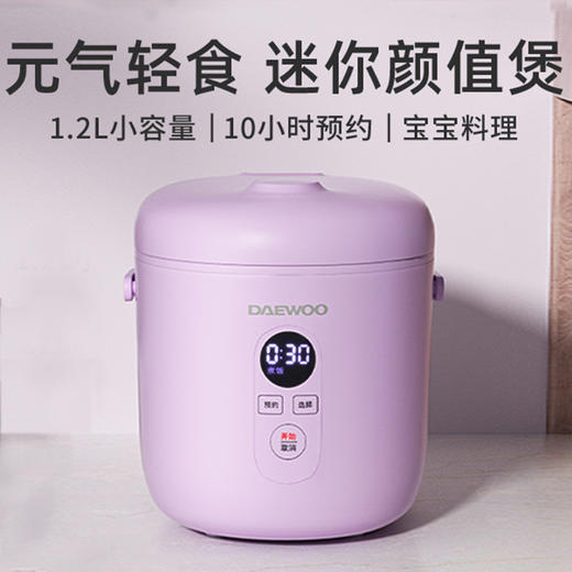 大宇FB12迷你电饭煲1.2L家用宝宝婴儿智能预约电饭锅小2一3人 商品图0