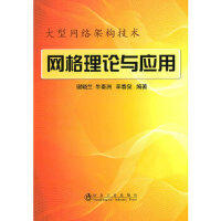 网格理论与应用/谢晓兰 商品图0