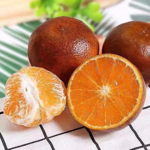 非洲乌柑（产地直发） 商品图0