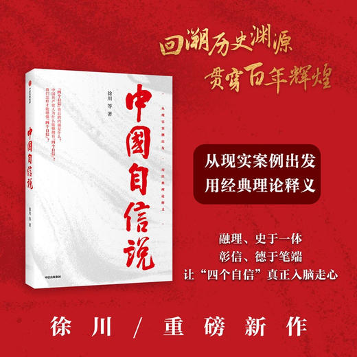 中国自信说 徐川著 选题紧扣理论热点 抓住思政教育的阵地 为读者提供通俗理论读物 理论宣传社会影响力 商品图0