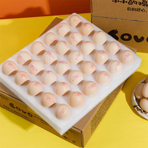 德青源鲜鸡蛋家庭装 30枚/盒、净重1.35kg 【BH】 商品图0