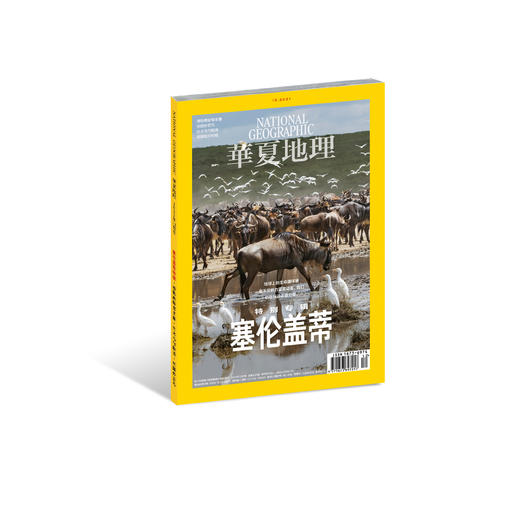 《华夏地理》杂志2021年12月刊-塞伦盖蒂  商品图0