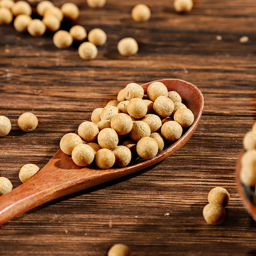 【四季吃姜 暖暖呵护】参姜丸 250g/罐 粒粒饱满 圆润光滑 代替姜汤不怕辣 让吃姜变得更简单 商品图3