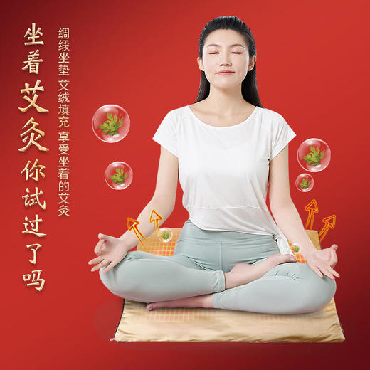【四季皆可使用】唐韵宛枫艾灸仪电加热绸缎坐垫精选绸缎材质艾绒填充内胆不易勾丝不闷热 商品图0