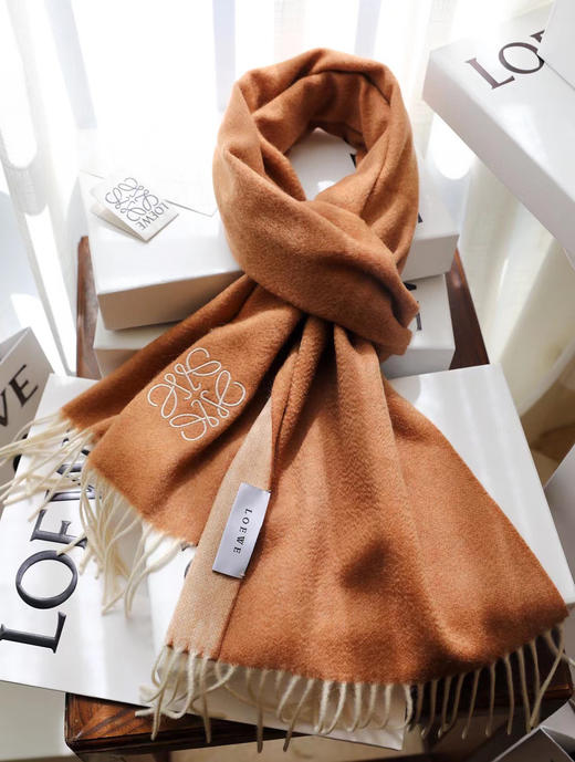 Loewe罗意威最新款双面双色-棕色 商品图4