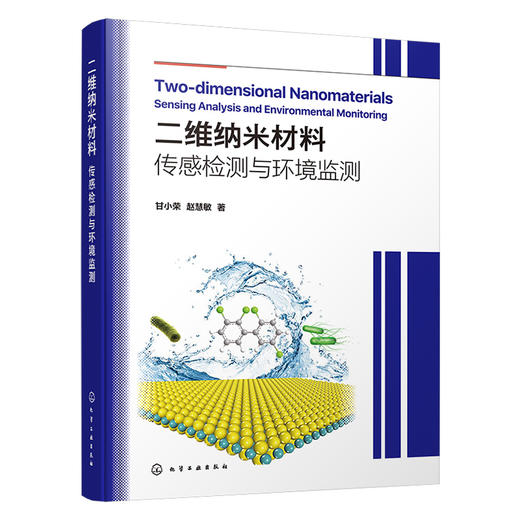 二维纳米材料：传感检测与环境监测 商品图1