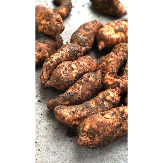 【宁商协作】 山阳县 好山货秦岭深山新鲜天麻 3斤/5斤装 商品图2