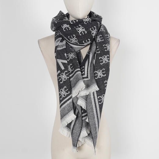 冬季保暖女士长款针织时尚字母流苏围巾C字印花2776 商品图2