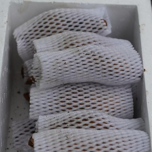 【宁商协作】 山阳县 好山货秦岭深山新鲜天麻 3斤/5斤装 商品图4