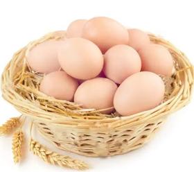 【端午钜惠组合】鲍峡土鸡蛋60枚+益多粽子10枚（清香白玉粽100g*2+红袍豆沙粽100g*2+金丝蜜枣粽100g*2+糯香鲜肉粽100g*2+板栗鲜肉粽100g*2）