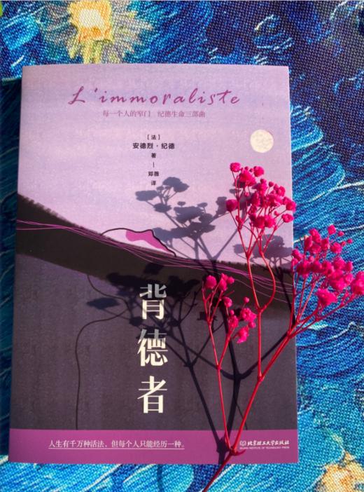 《每一个人的窄门：纪德生命三部曲（套封3册）》诺贝尔文学奖获得者、萨特和加缪的精神导师纪德作品！ 商品图1