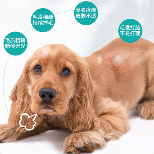 麦德氏 犬用卵磷脂 300g 护毛卵磷脂 商品图2